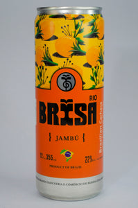 BRISA DRINKS BEIJAMBÚ (JAMBÚ) - 6 Pack of 12oz Cans