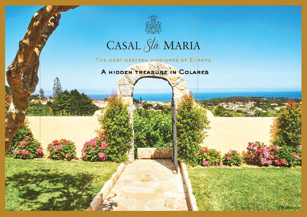Vineyard plots of Casal Sta. Maria in Portugal